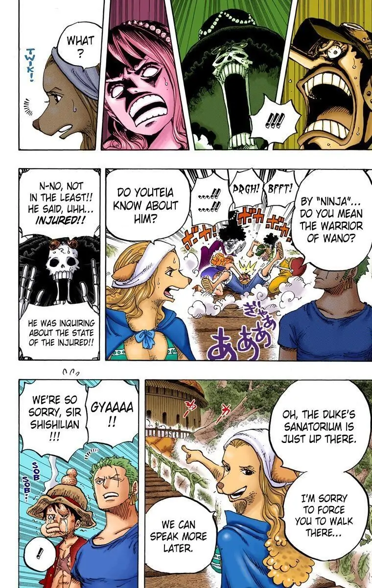 One Piece Digital Colored Chapter 808 image 11